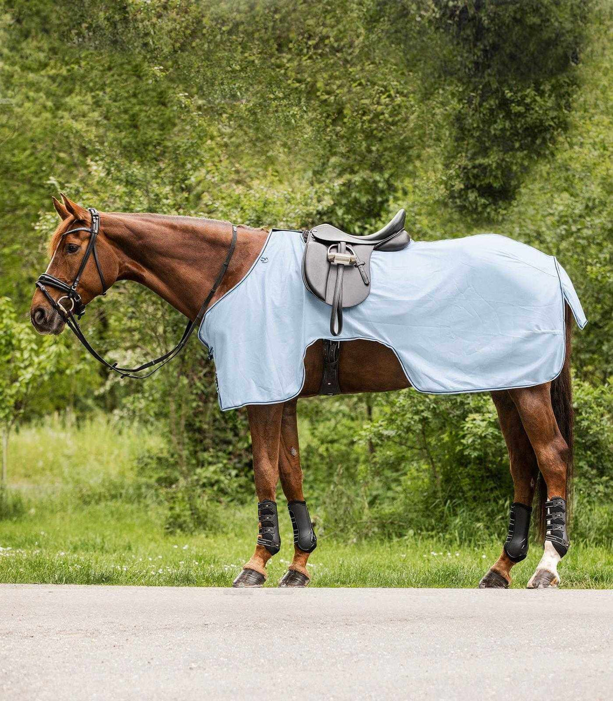 Fliegenausreitdecke Protect
