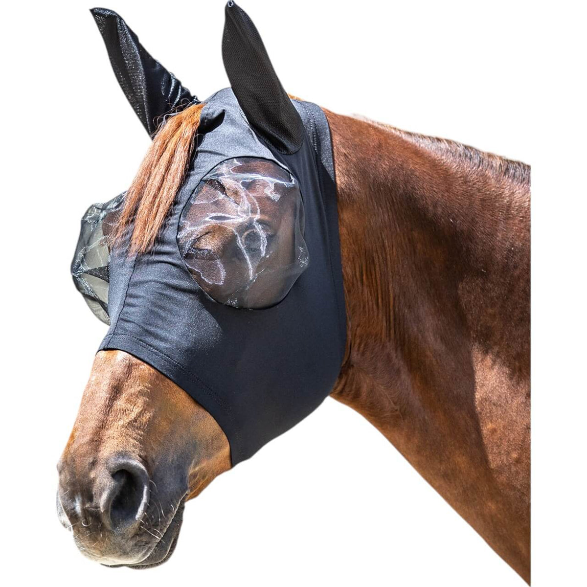 Schwarz