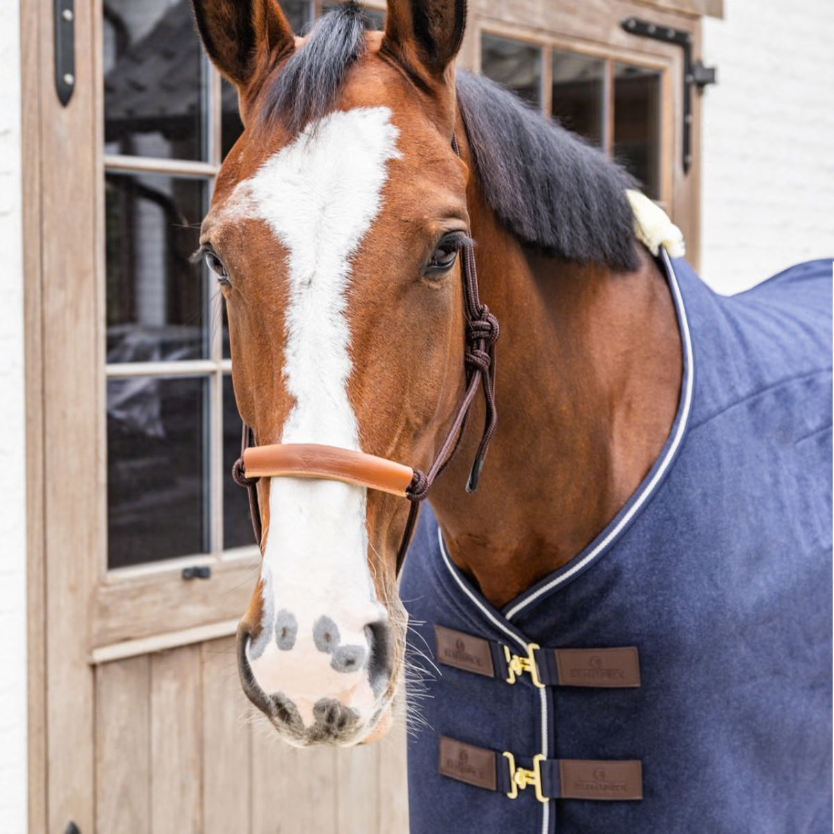 Rope Halter