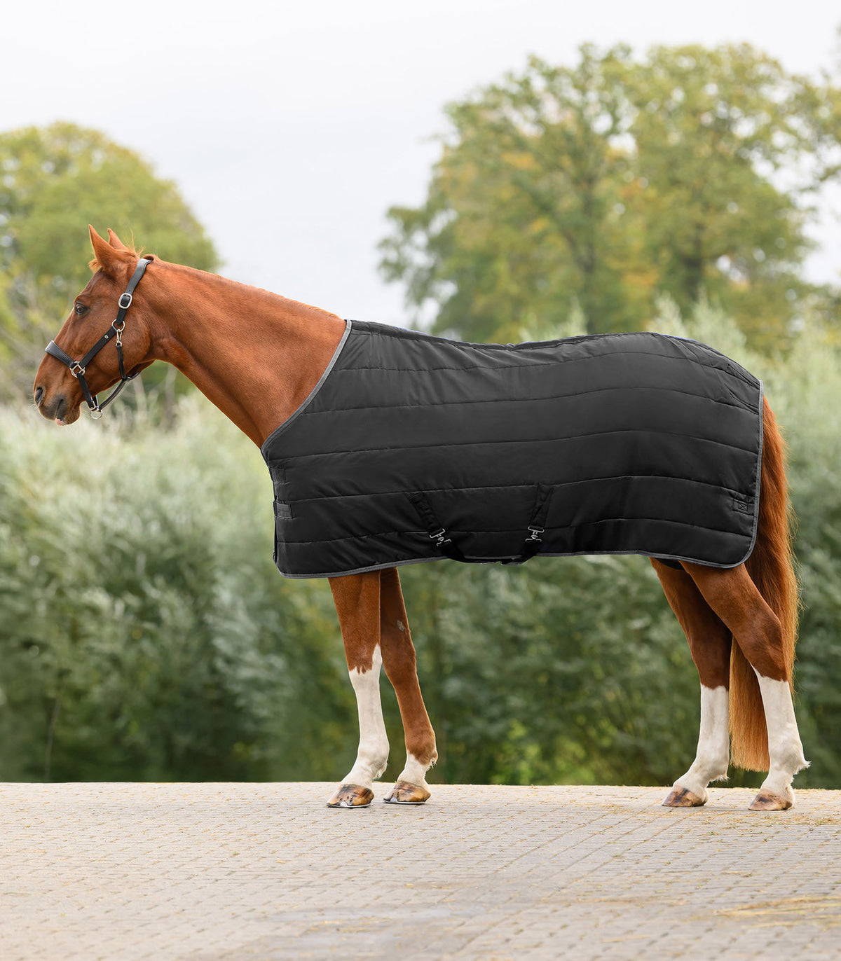 Coperta da scuderia Economic 100 g