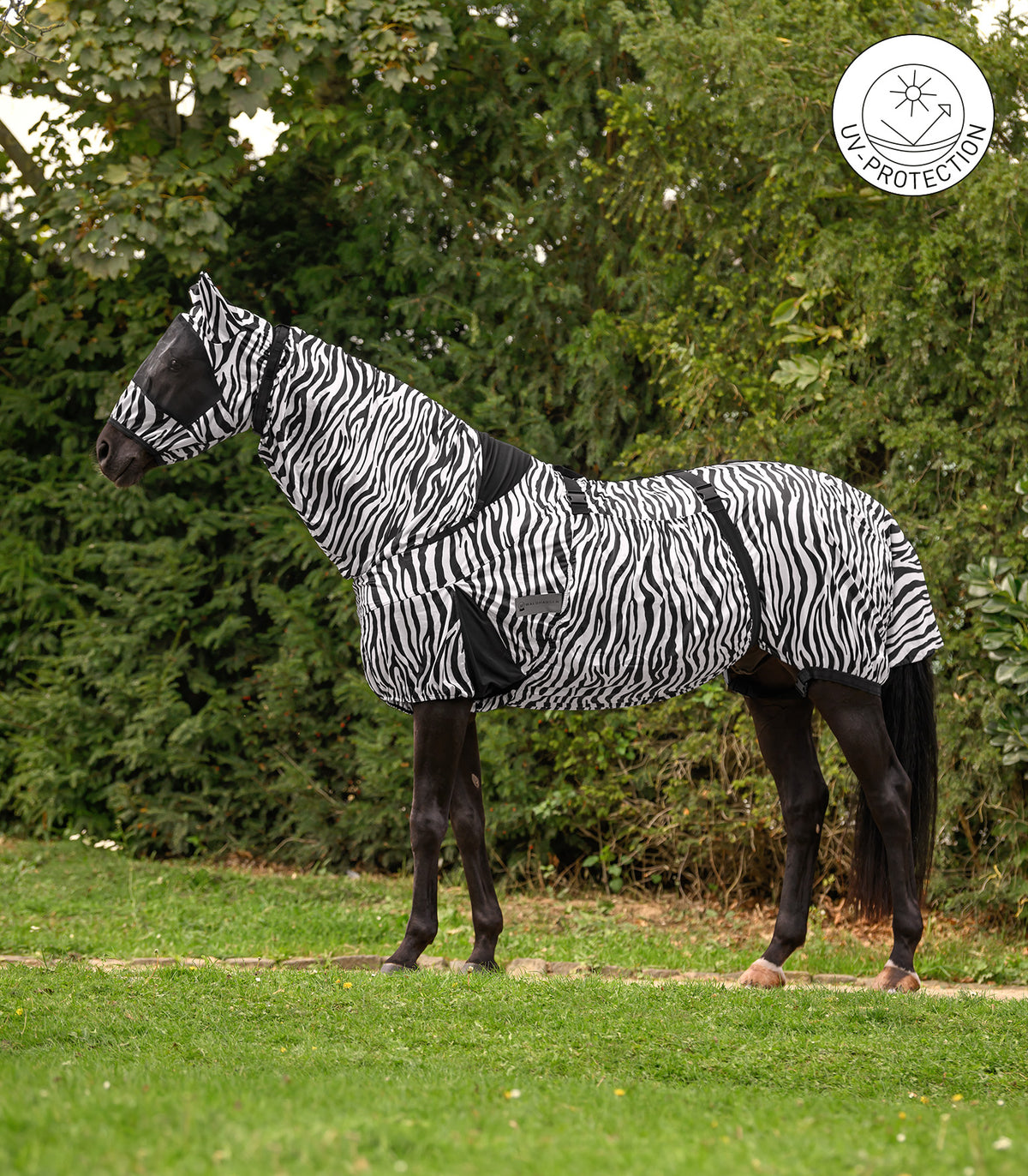 Ekzemdecke Zebra Pferdedecke
