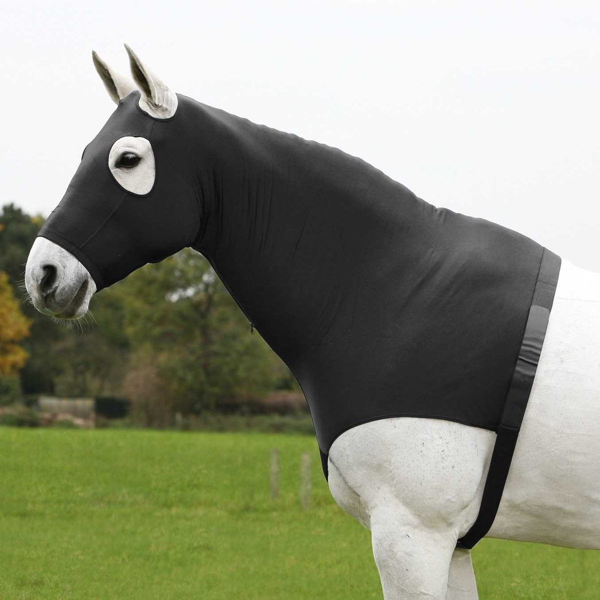COMFORT Combination Hood