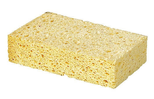 Schwamm Putzschwamm