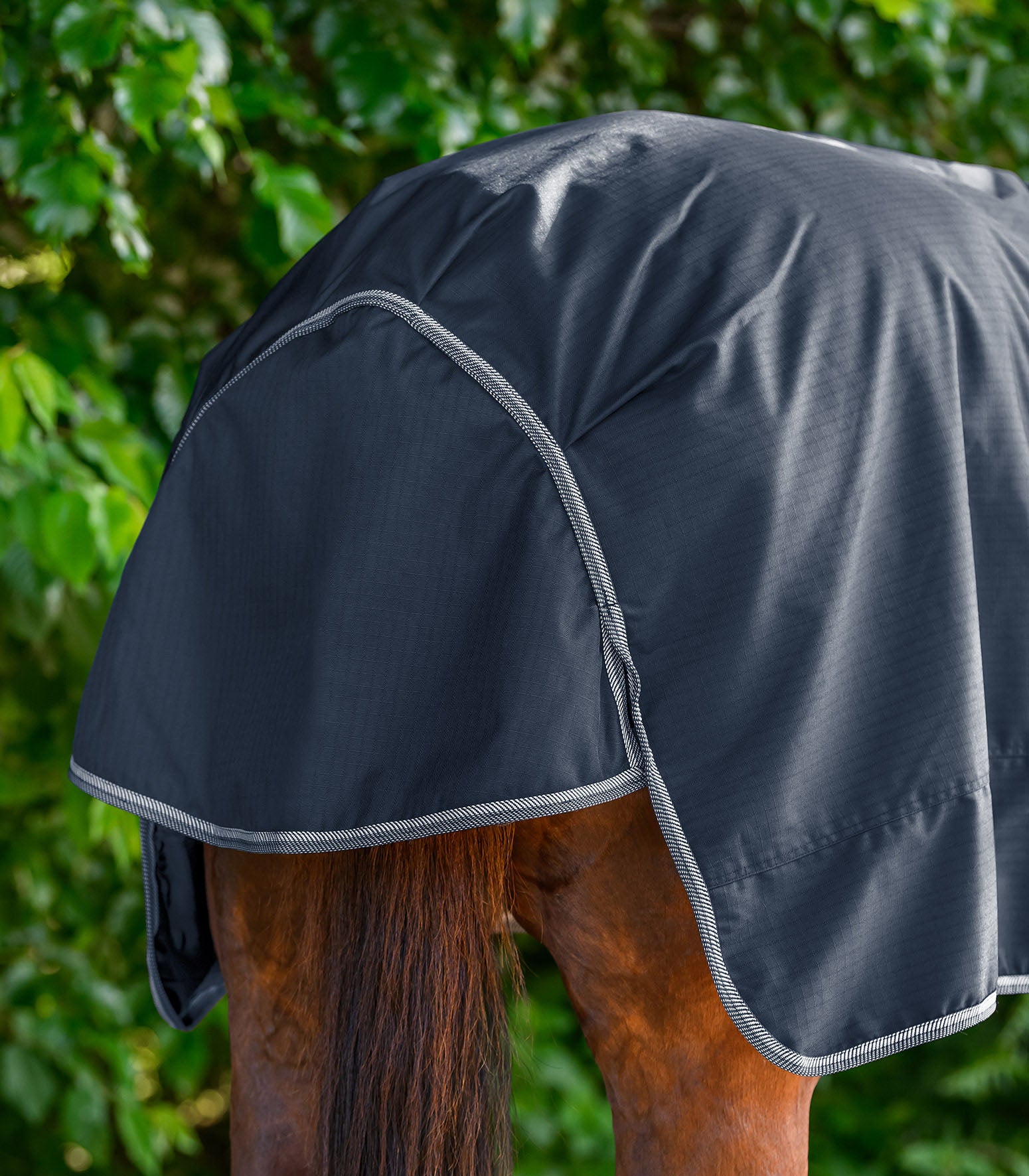 Outdoordecke Economic 200g Weidedecke
