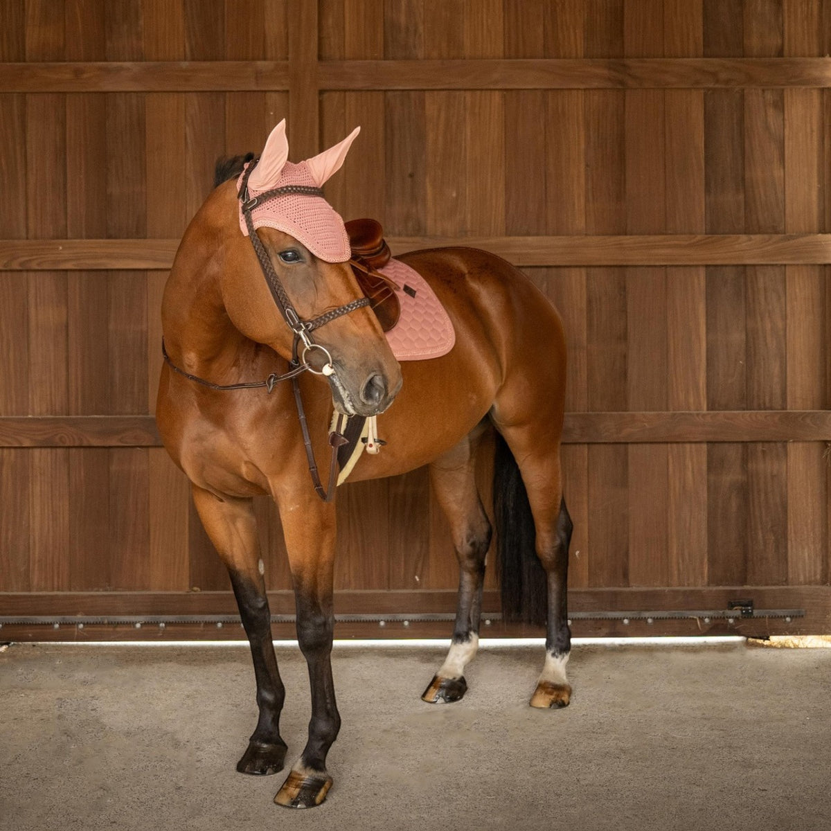 Oornetje Wellington Plaited Glitter Rope Vliegenhaube