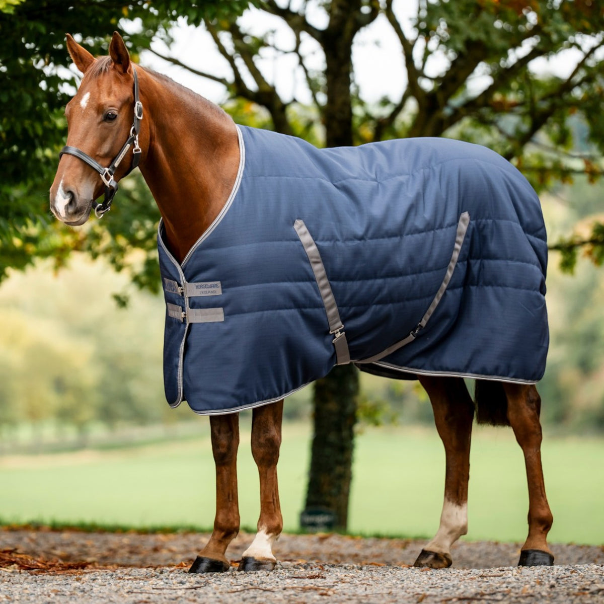 Stalldecke Rambo Stable 100g Pferdedecke