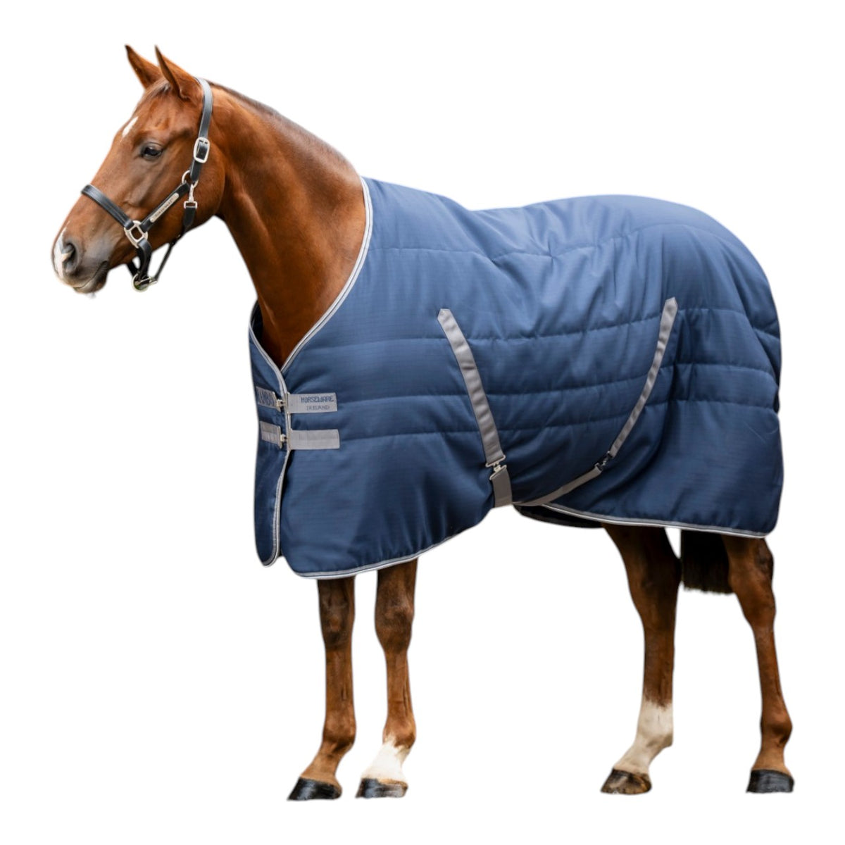 Stalldecke Rambo Stable 100g Pferdedecke