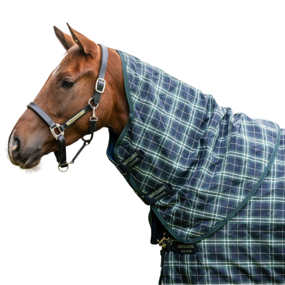 Weidedecken-Halsteil Rhino Turnout Hood 150g Halsteil Pferd