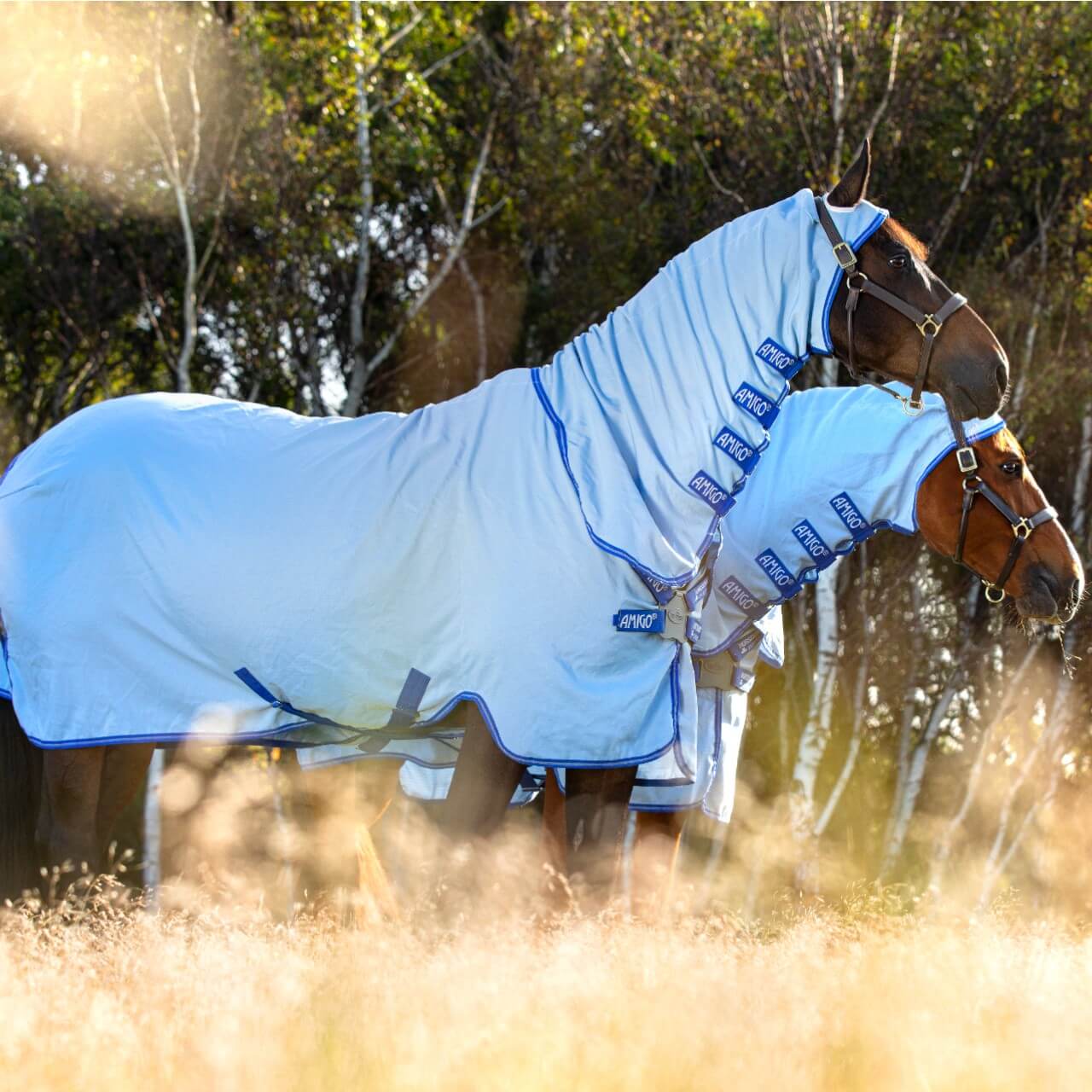 Fliegendecke Amigo Ripstop Hoody
