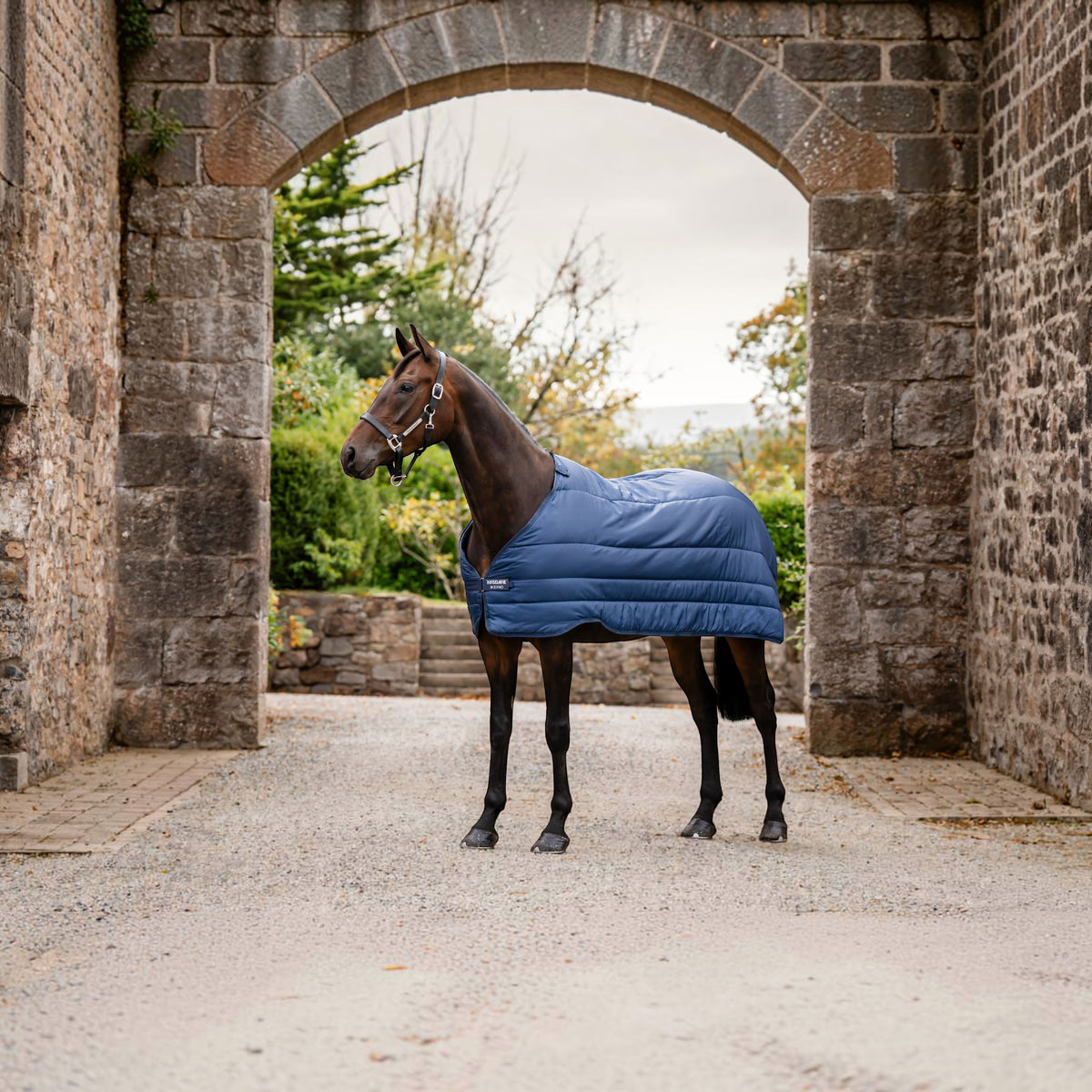 Unterdecke 100g Horseware Liner
