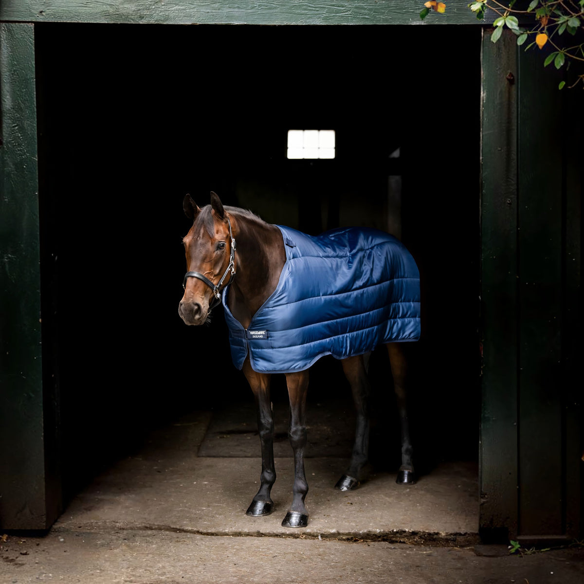 Unterdecke 100g Horseware Liner