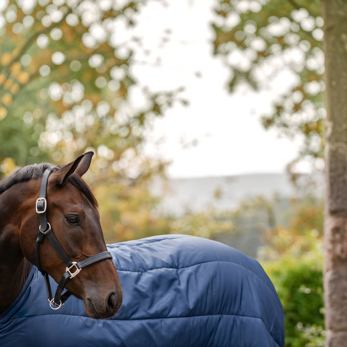 Unterdecke 100g Horseware Liner