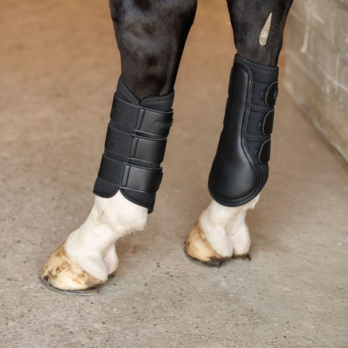 Gamaschen AirMotion Dressurgamaschen