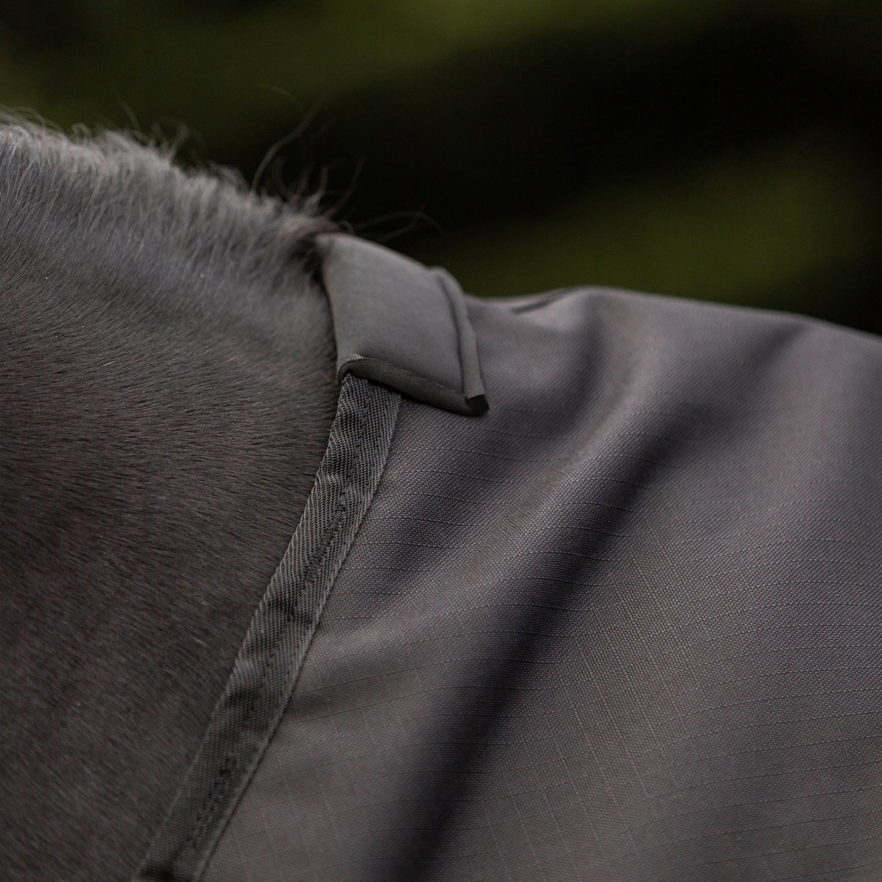 AMIVARO Regen-Fliegendecke DryGuard Fly Regendecke, Schwarz, Detailaufnahme am Pferd.
