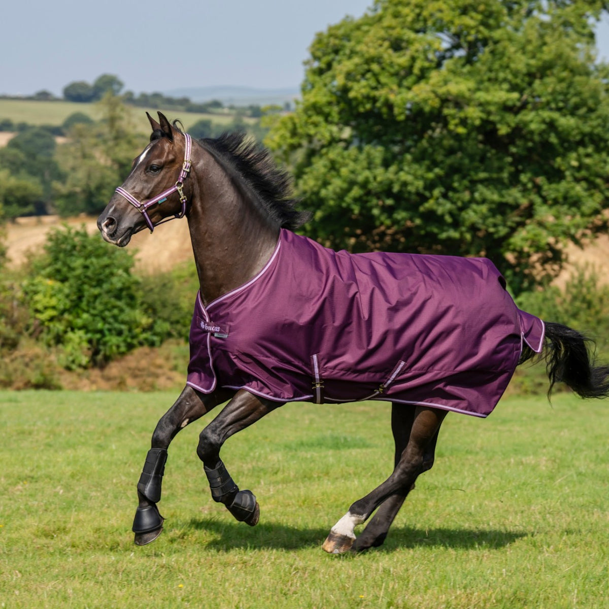 Outdoordecke 150g Freedom Turnout HW 2026 Weidedecke
