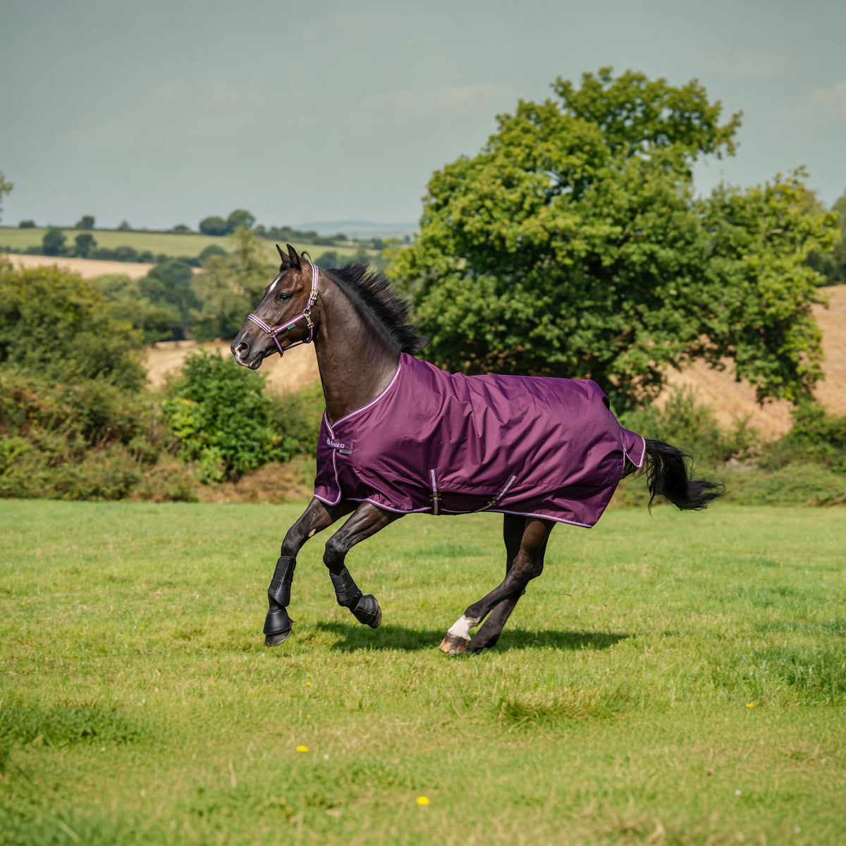 Outdoordecke 0g Freedom Turnout Light HW 2026 Regendecke