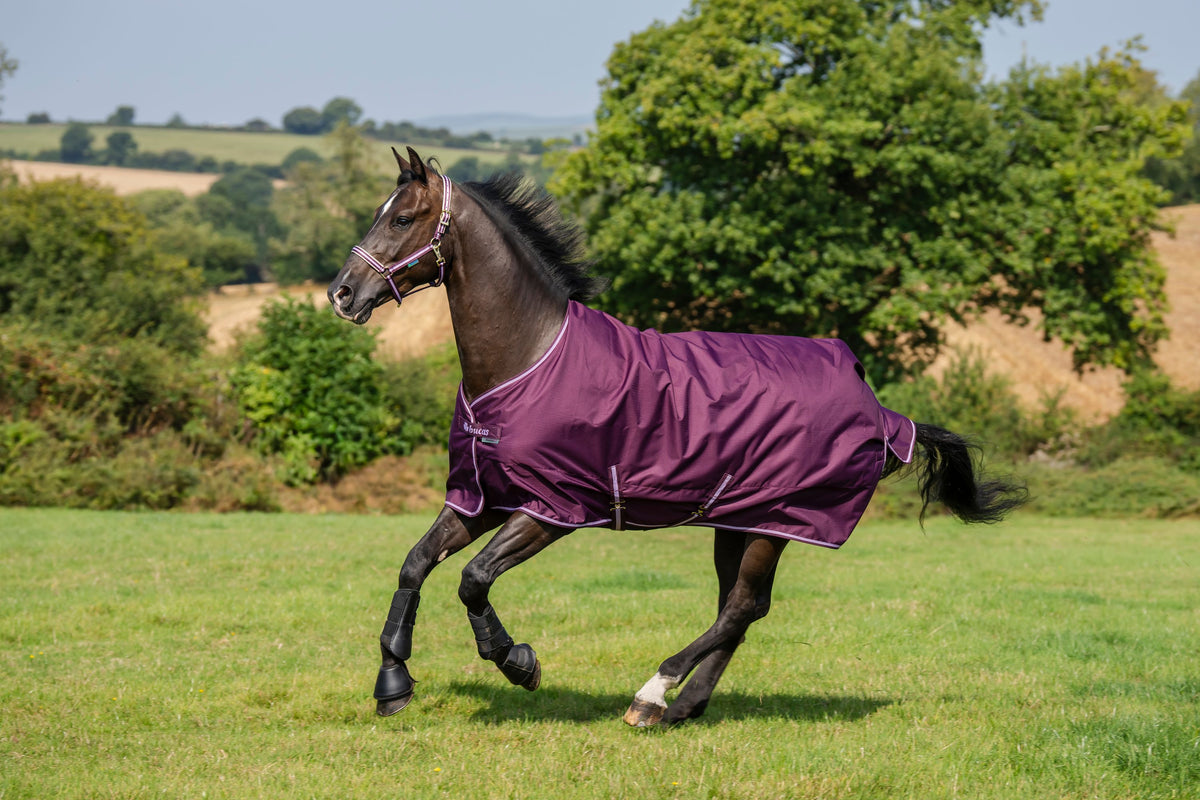 Outdoordecke 300g Freedom Turnout HW 2026 Weidedecke
