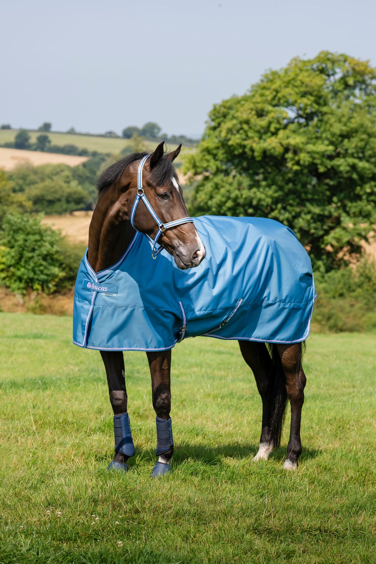 Outdoordecke 300g Freedom Turnout HW 2026 Weidedecke
