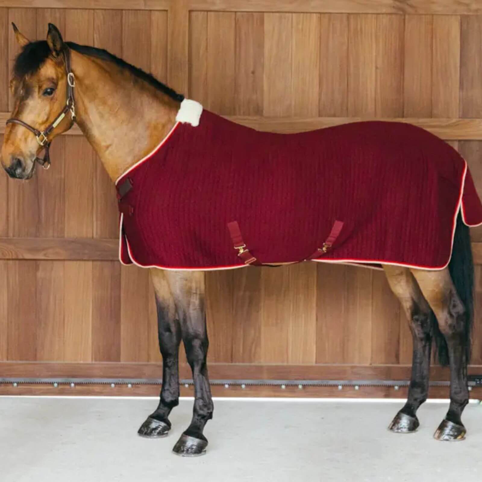 Abschwitzdecke Cooler Rug PROtherm Transportdecke