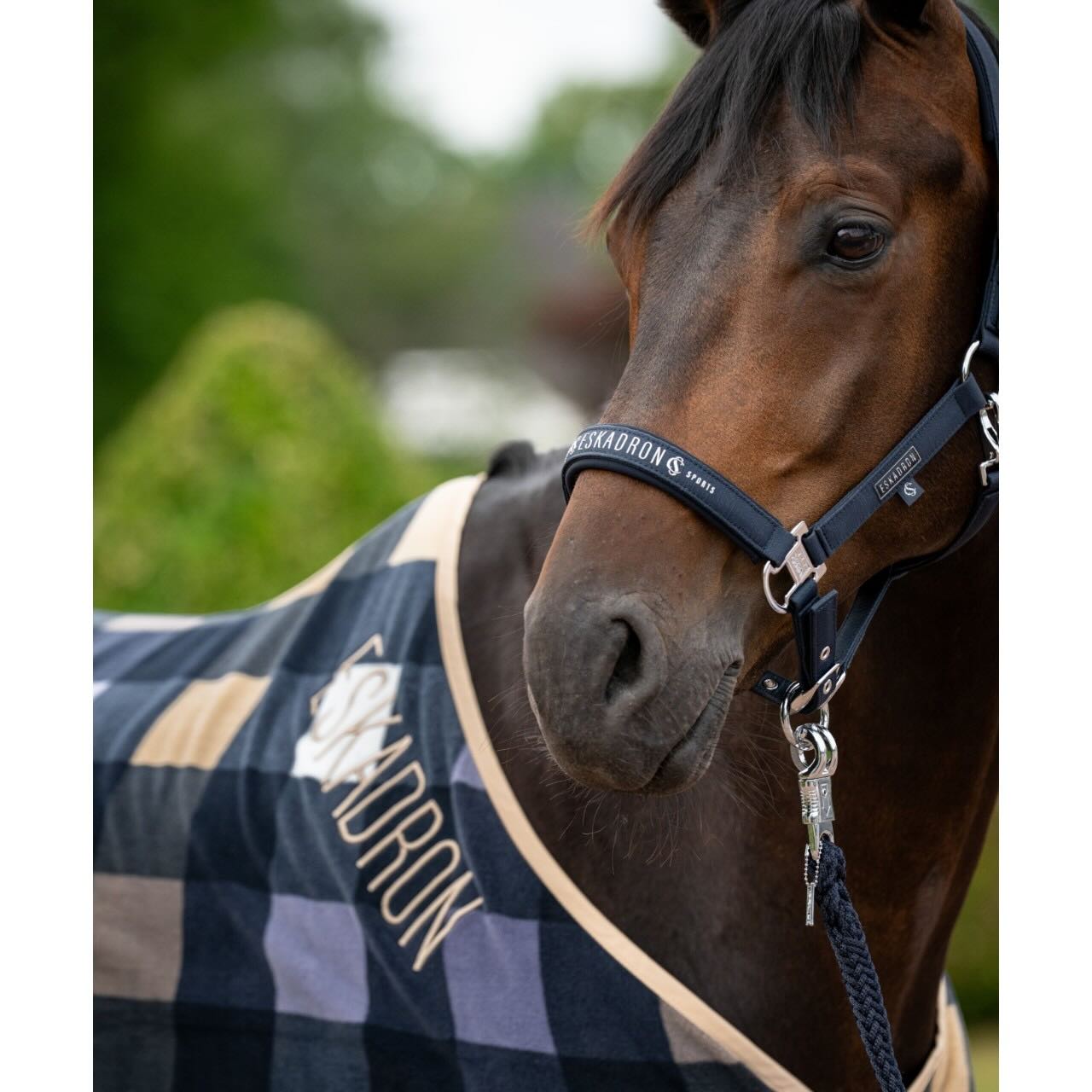 Abschwitzdecke Fleece Check Classic Sports FS26 Pferdedecke