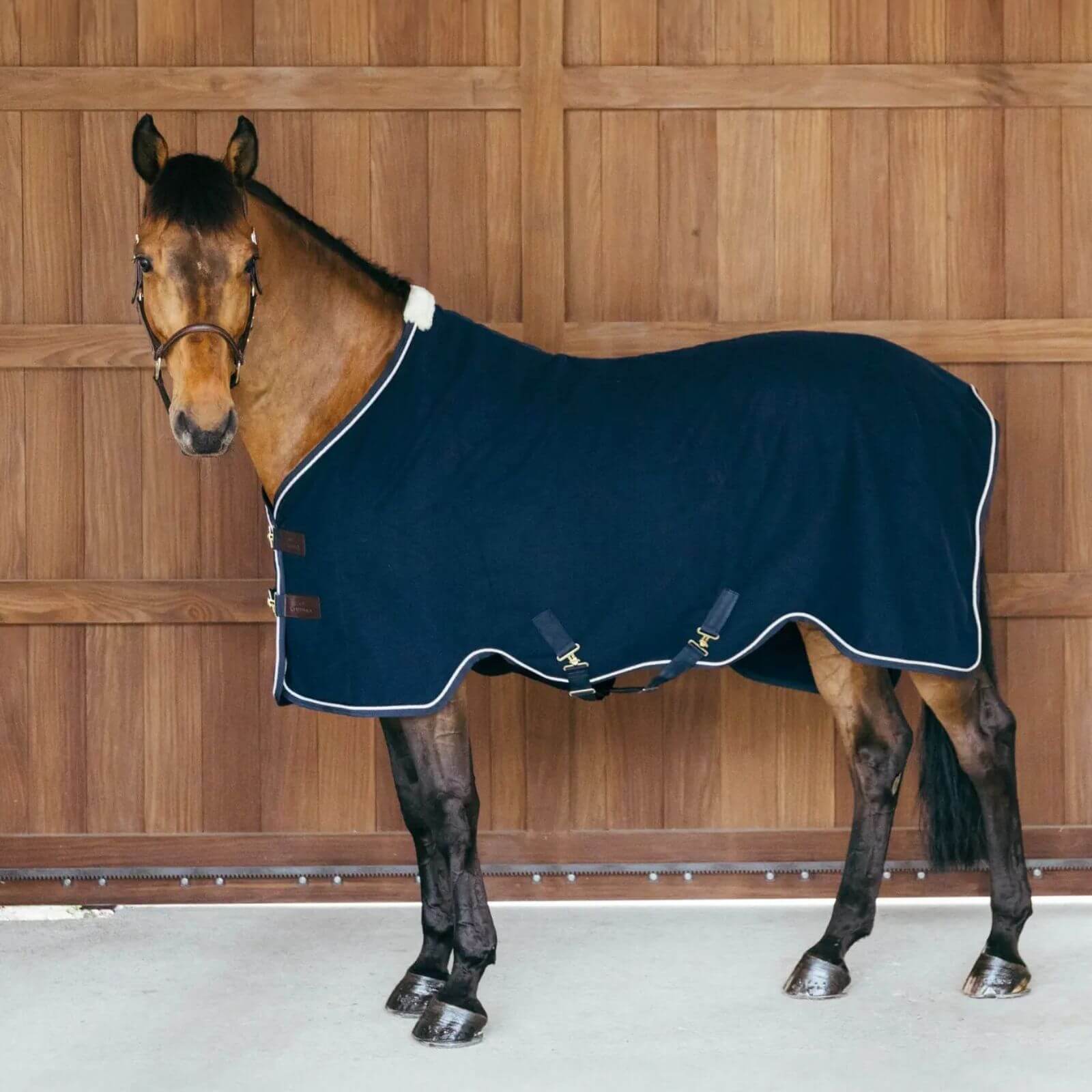 Abschwitzdecke Fleece Vegan Wool Decke