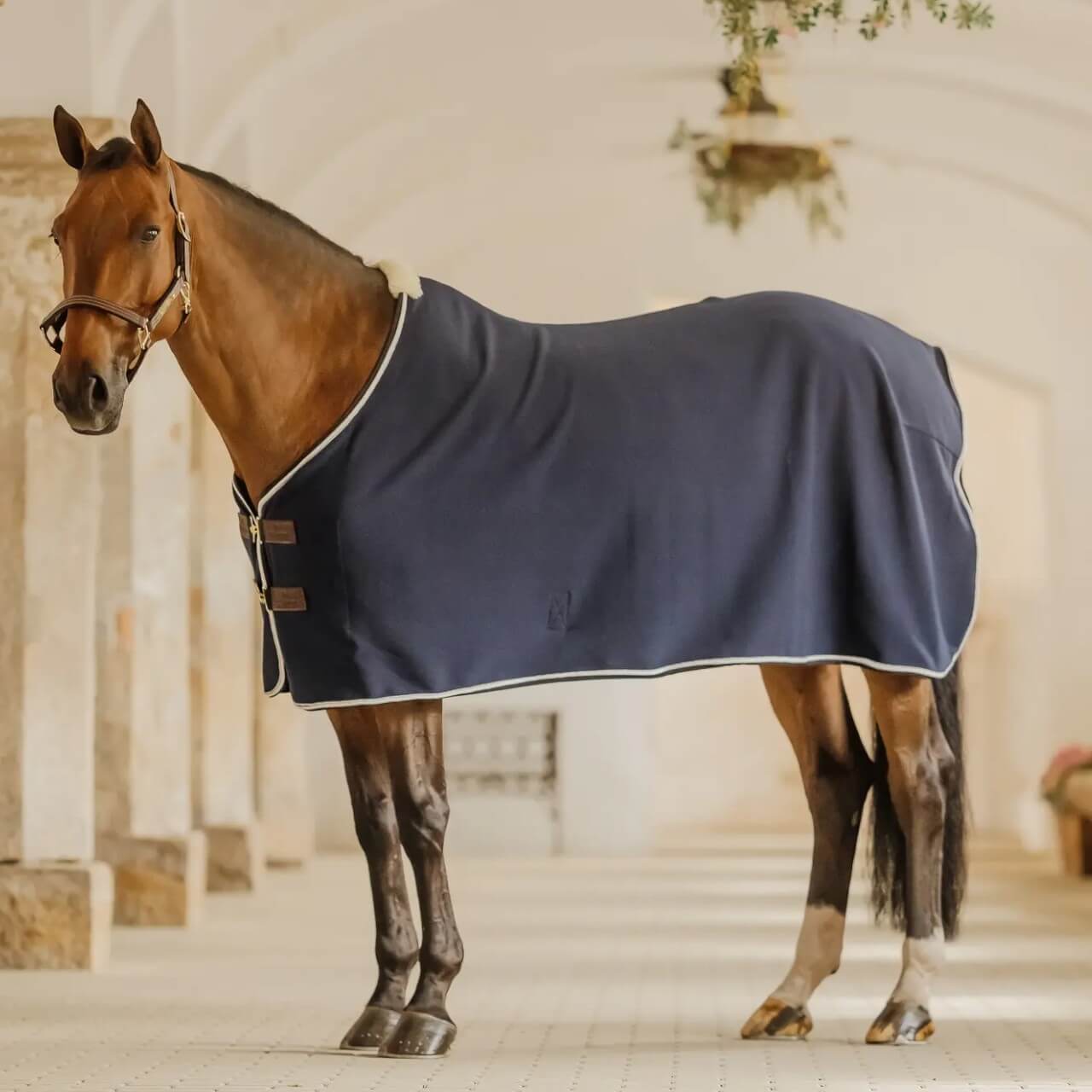 Abschwitzdecke Fleece Show Vegan Wool Decke