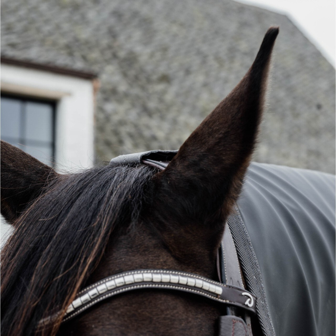 Ausreitdecke 0g Horse Rain Coat Hurricane Regendecke