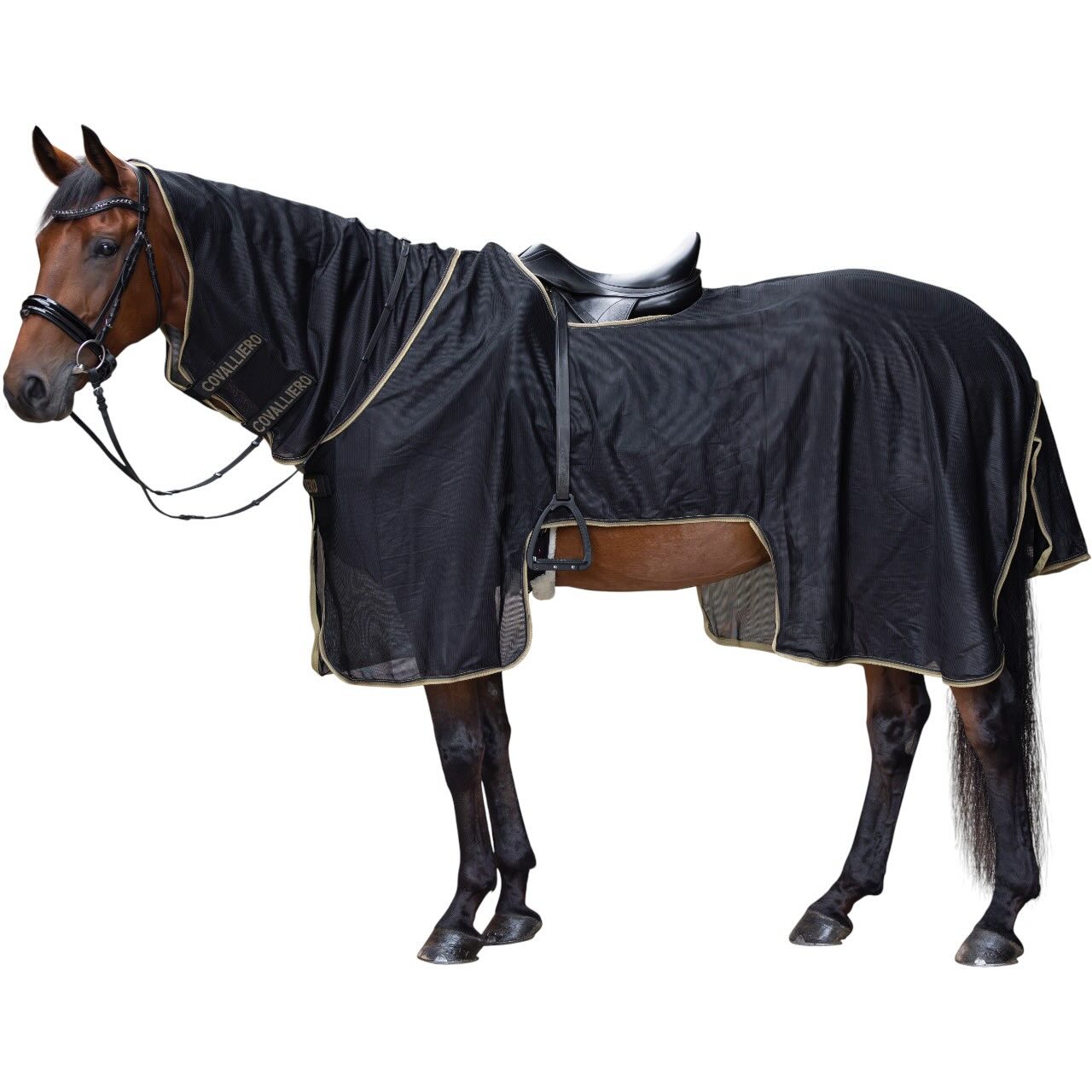 Ausreitdecke FS 2026 Trainingsdecke