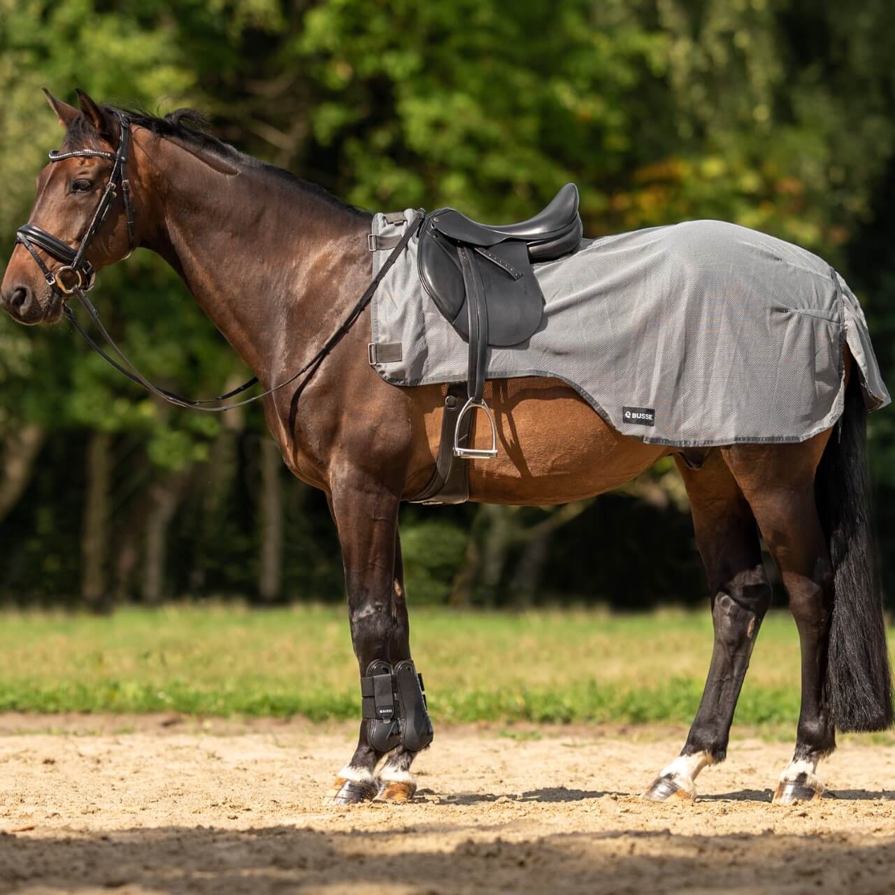 Ausreitdecke Flexi Fly III Fliegendecke