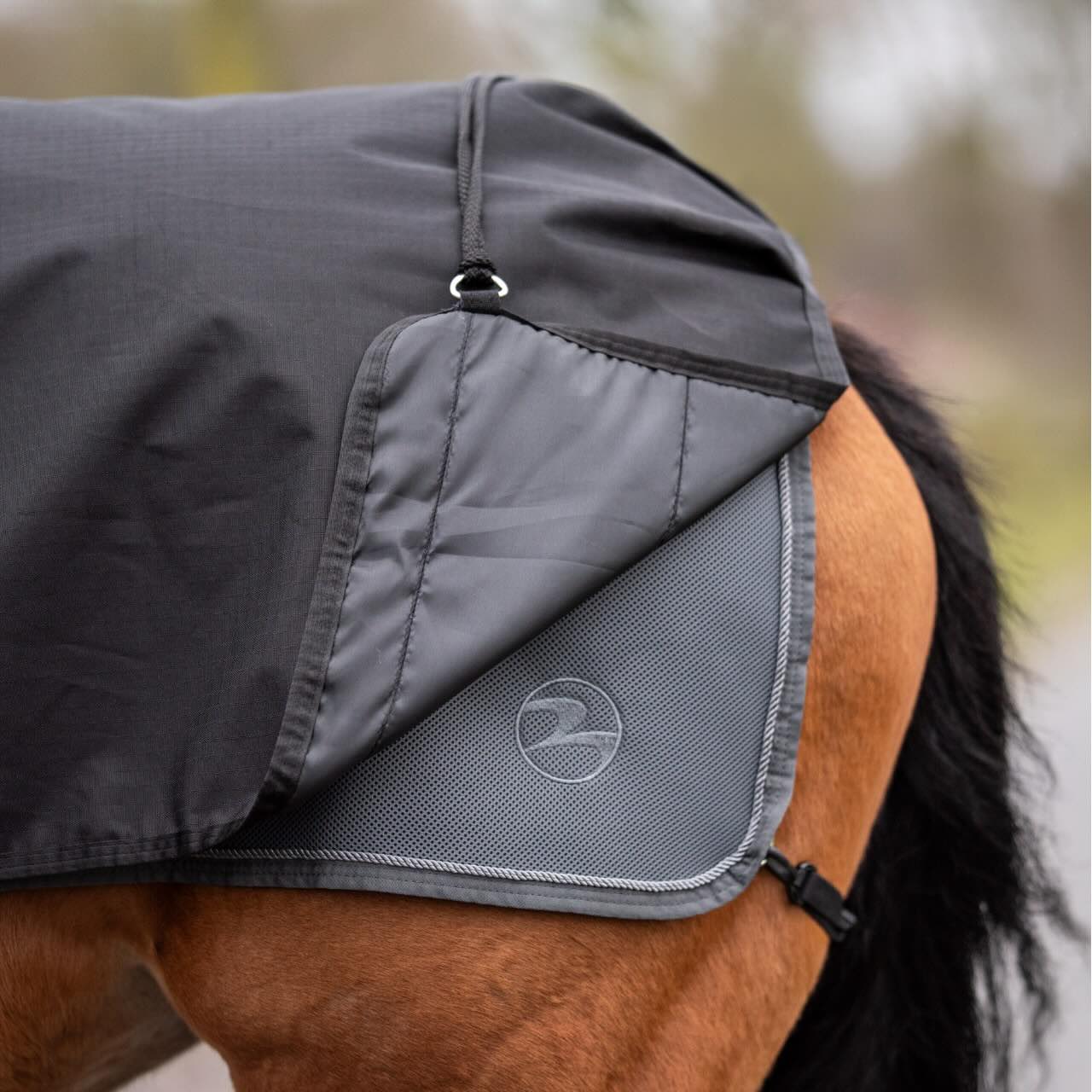 Ausreitdecke Rain FX 0g Regendecke