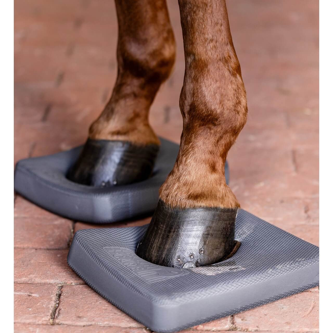 Balance Pads Health & Care Trainingspads