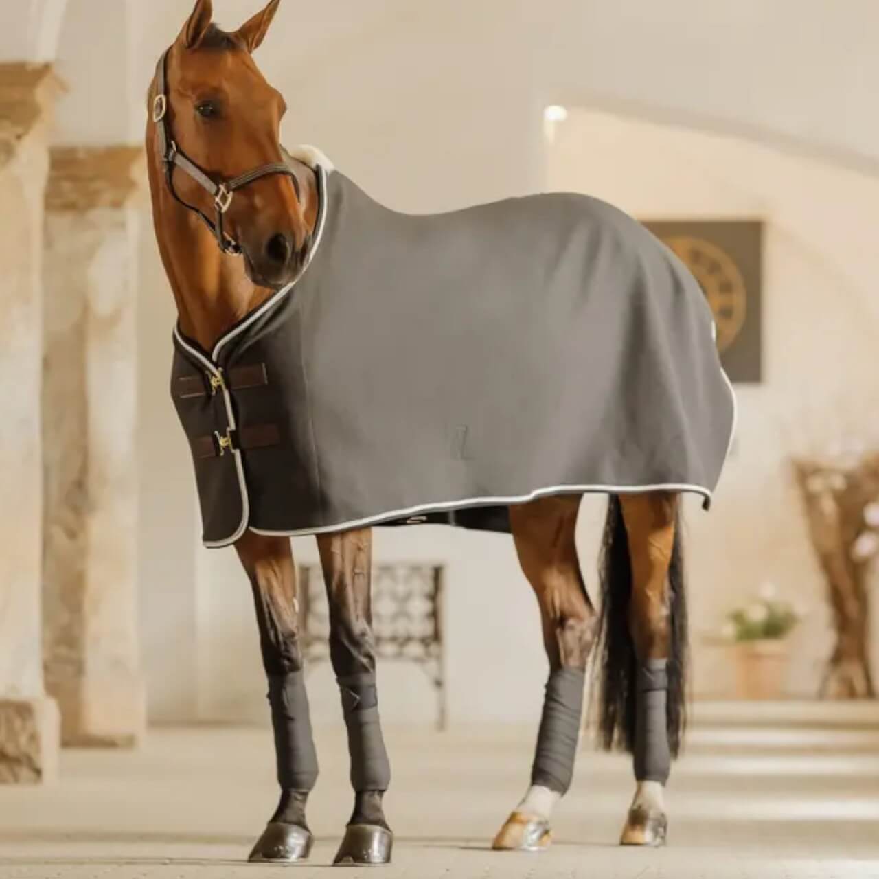 Bandagen Show Vegan Wool Polar Fleecebandagen