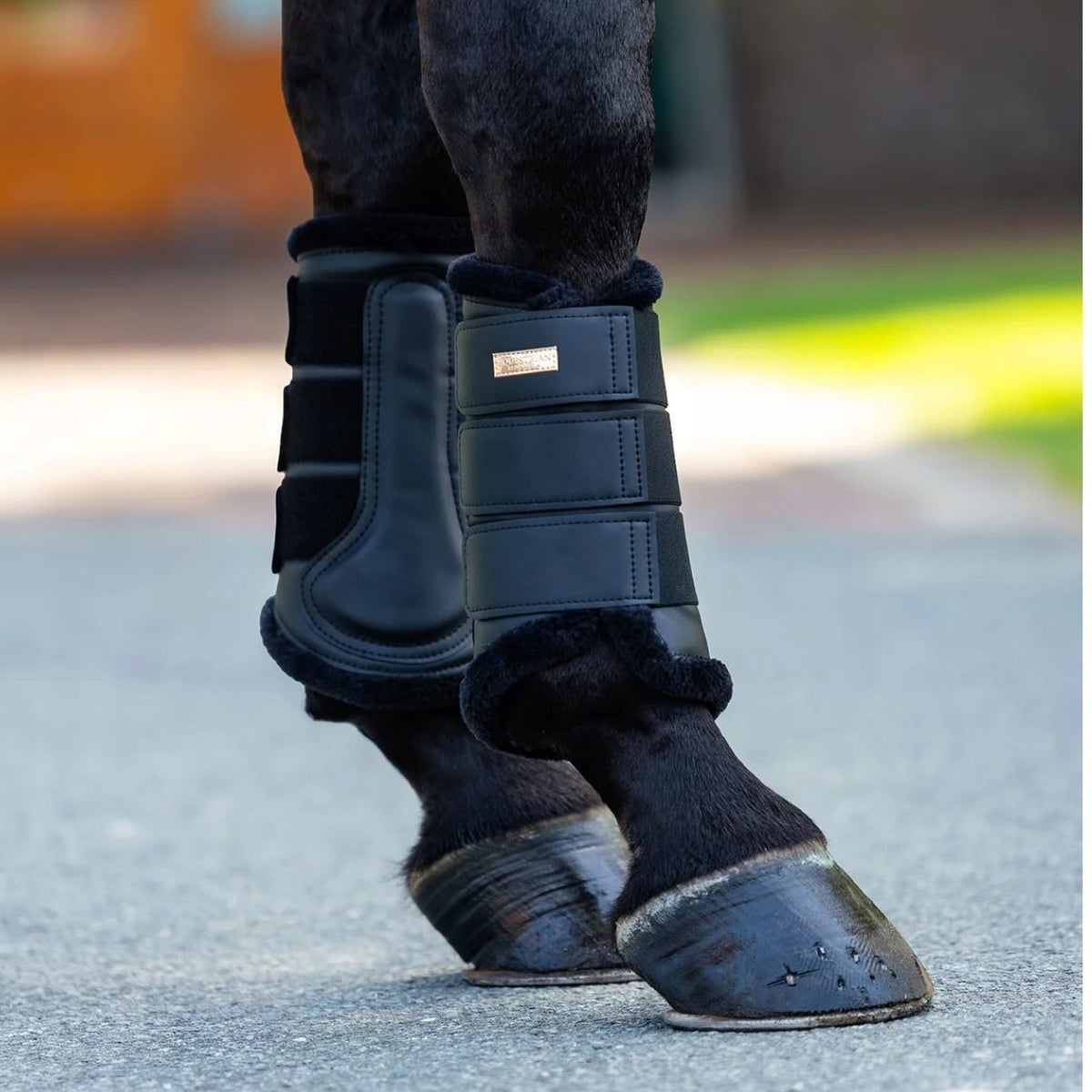 Gamaschen Black Blush Brushing Boots