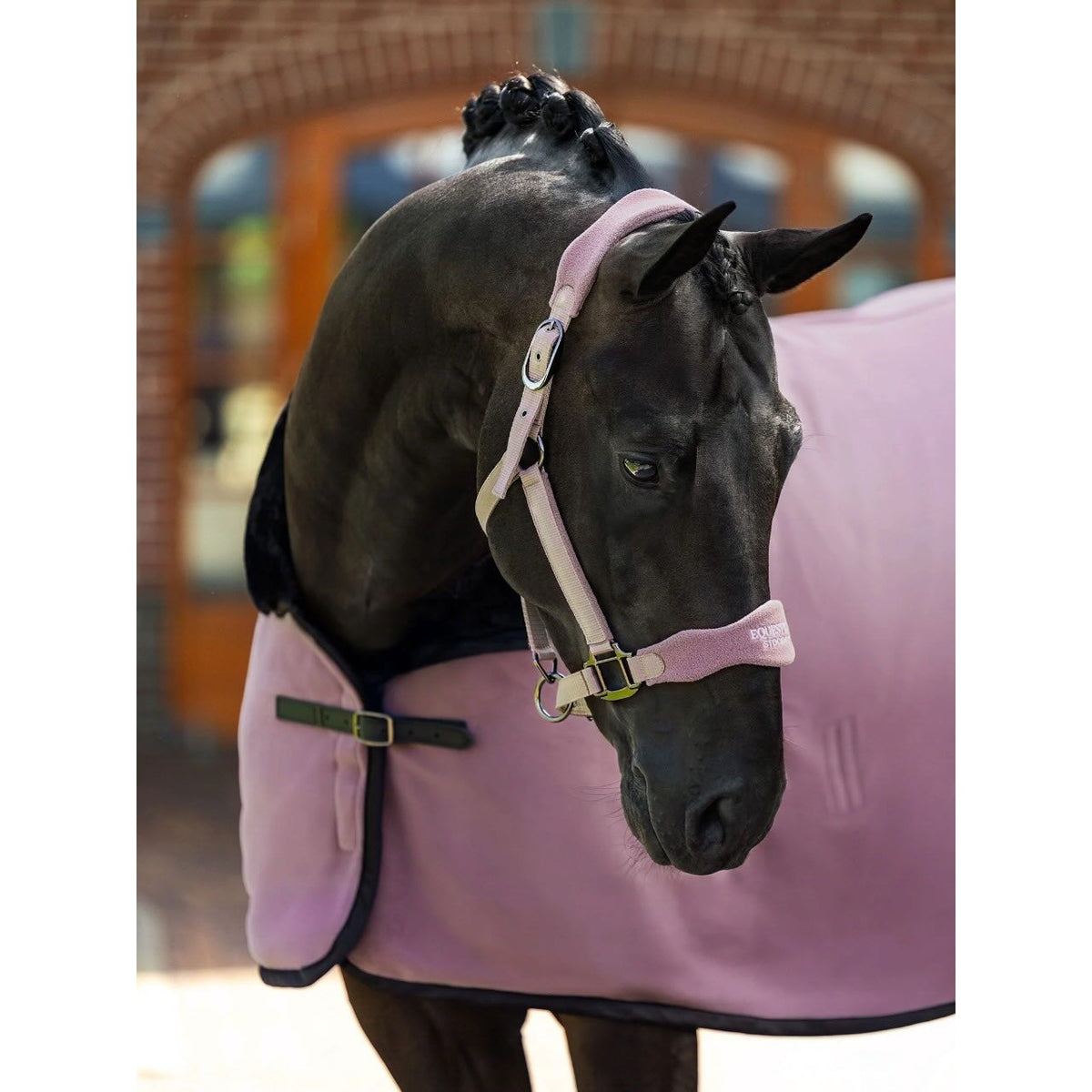 Abschwitzdecke Fleece Blush Fleecedecke