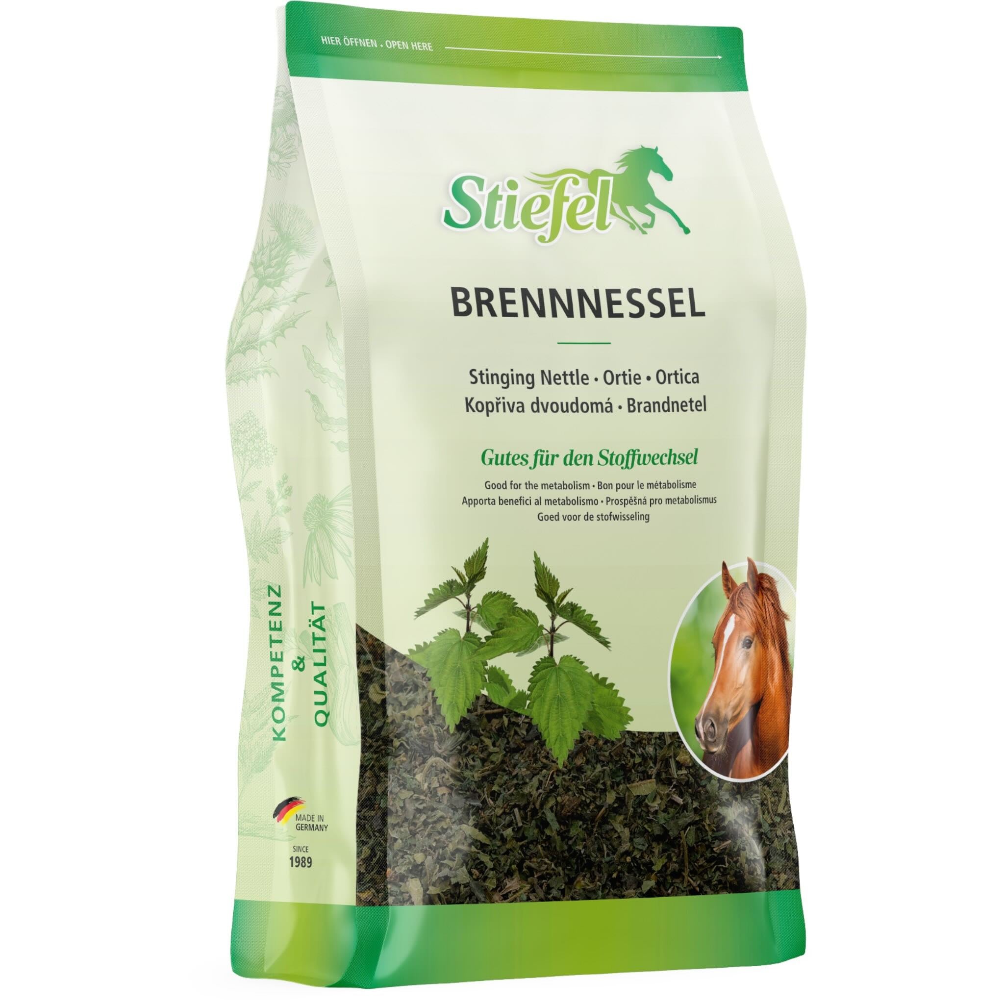 Brennnessel