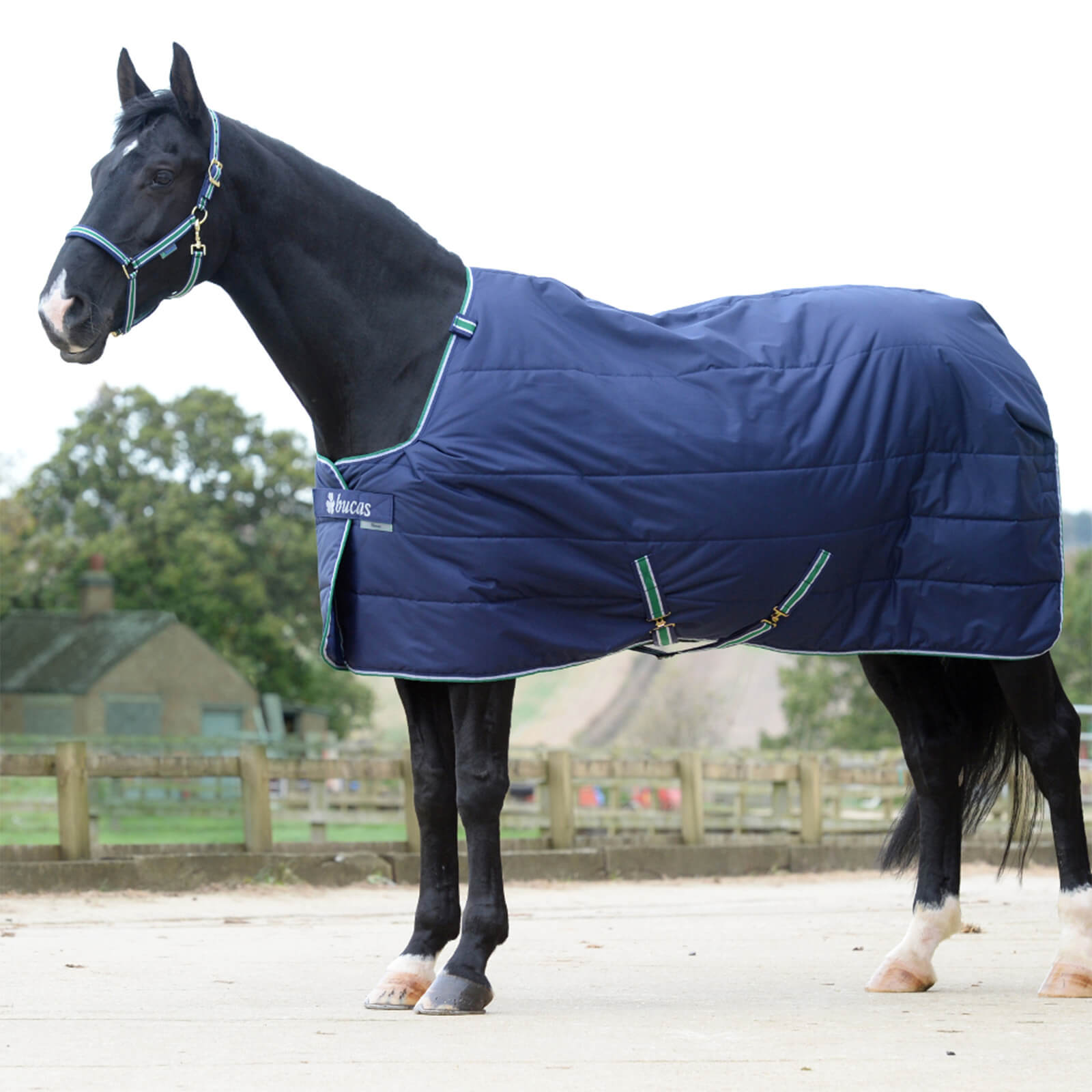 Stall- und Unterdecke 50g Quilt 50 SF - Navy / 110