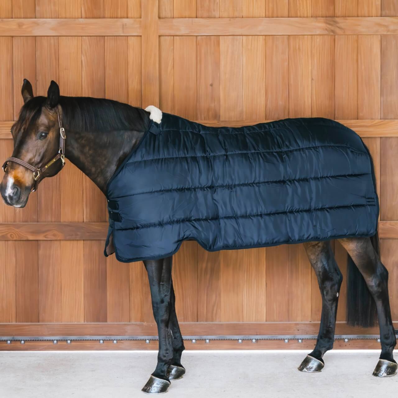 Unterdecke 100g Comfort Liner Pro Turnout Rug