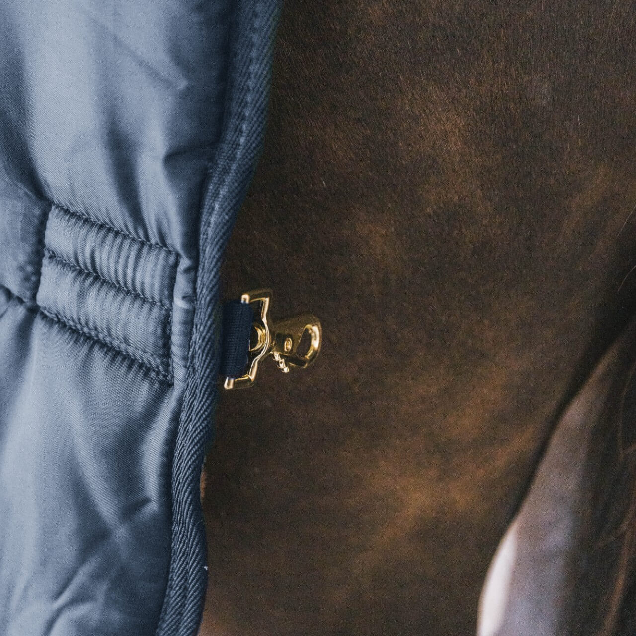 Unterdecke 100g Comfort Liner Pro Turnout Rug