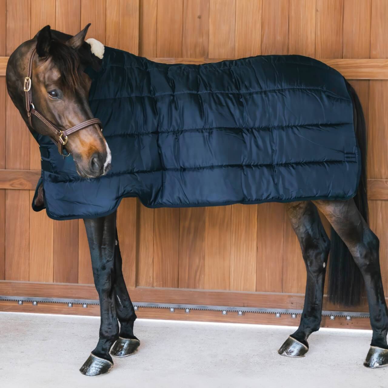 Unterdecke 200g Comfort Liner Pro Turnout Rug