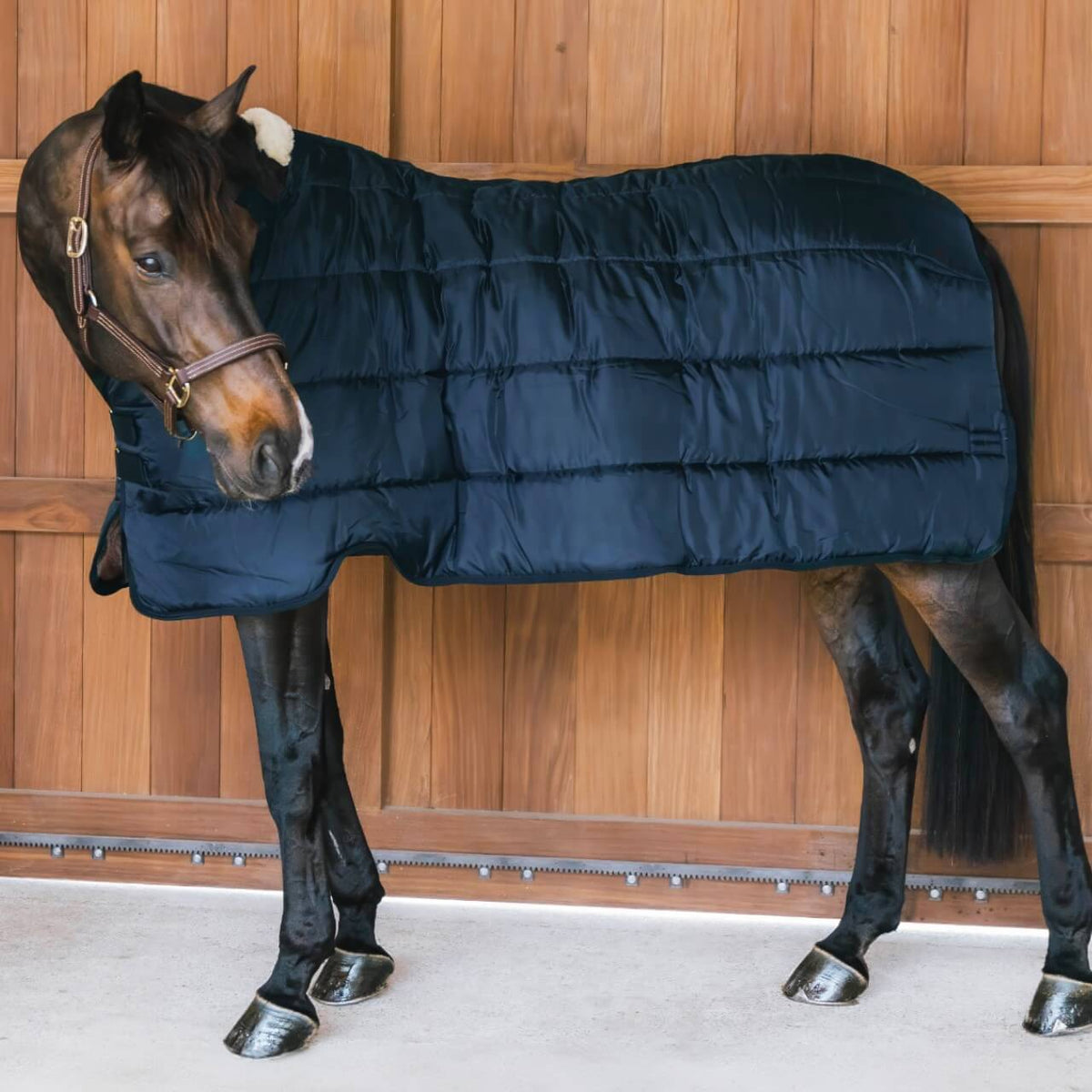 Unterdecke 400g Comfort Liner Pro Turnout Rug, Dunkelblau, Pferd trägt das Produkt.