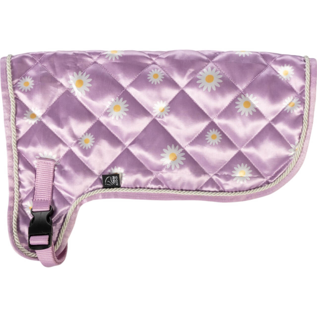 Decke Hobby Horsing