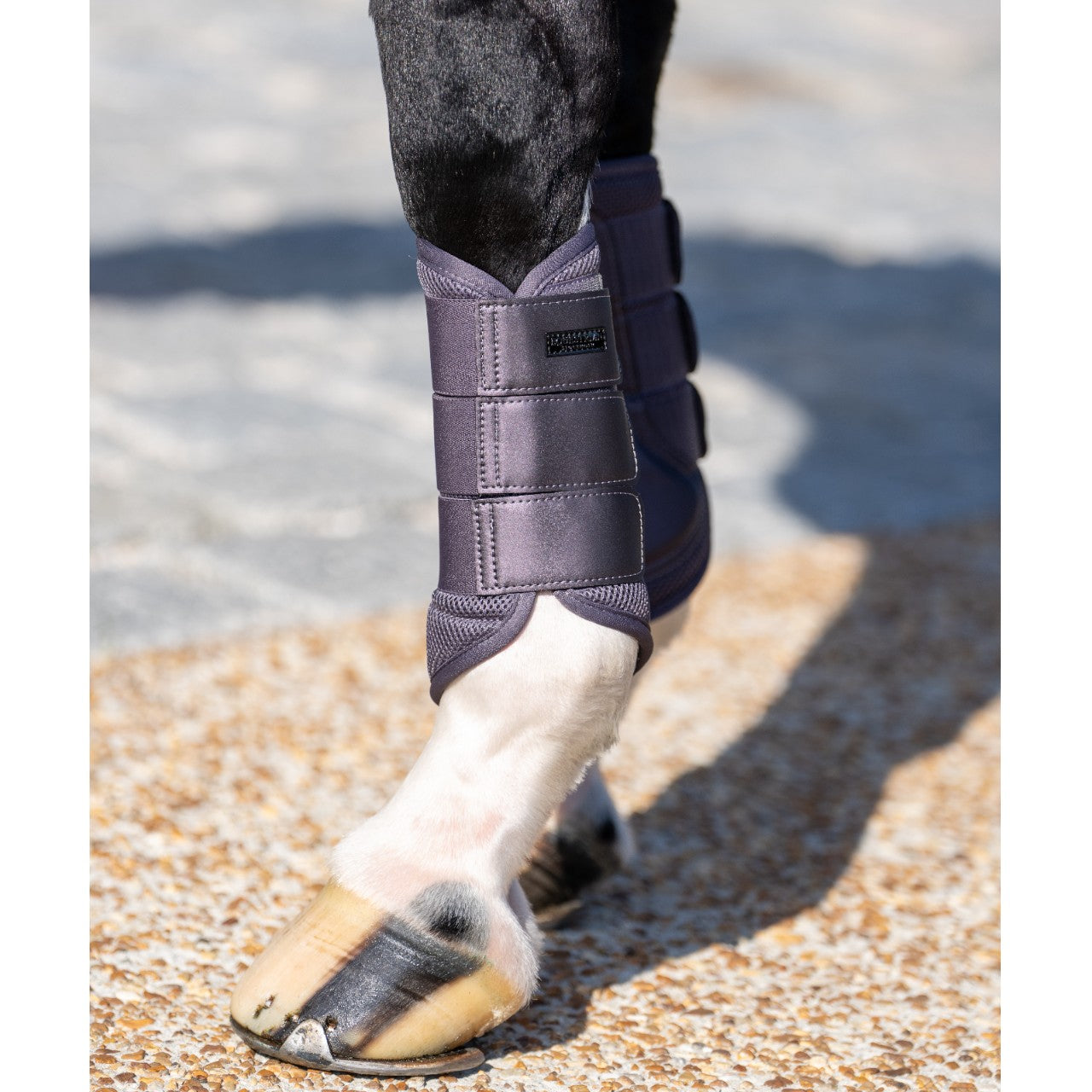 Dressurgamaschen Dark Violet Gamaschen