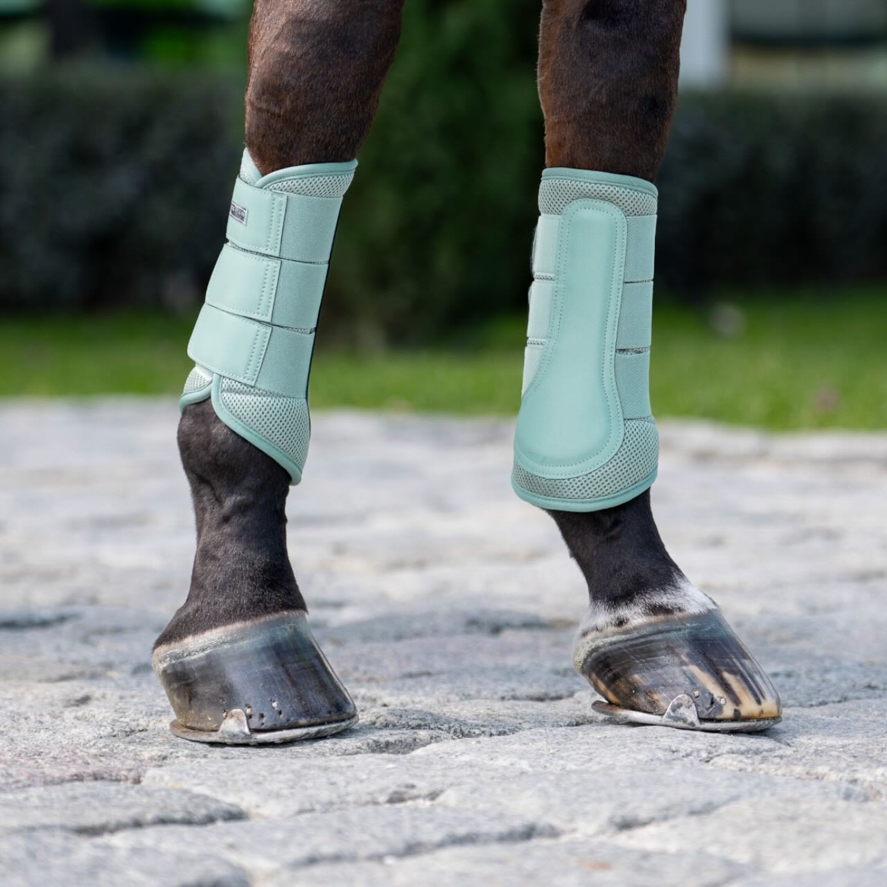 Dressurgamaschen Mesh Mint Green Gamaschen