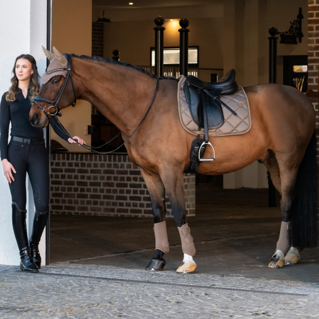 Dressurgamaschen Hinterbein Pro Dressage Platinum 2025 Gamaschen