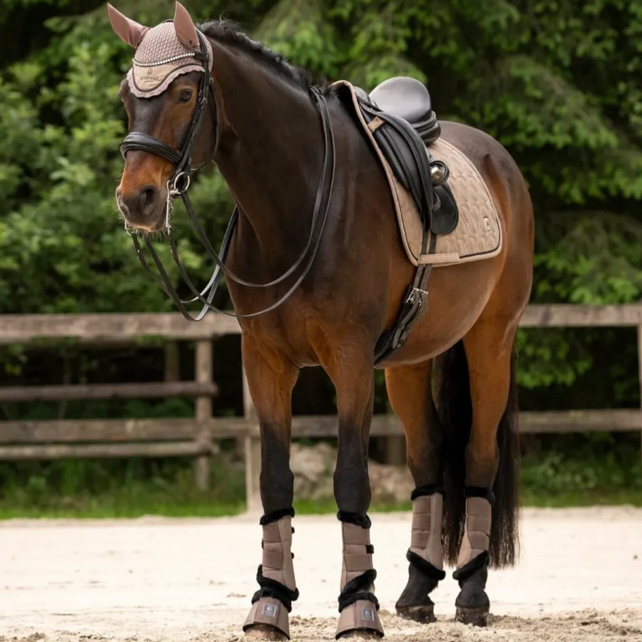 Dressurschabracke CAVALPOLLY FS 2026 Sattelunterlage