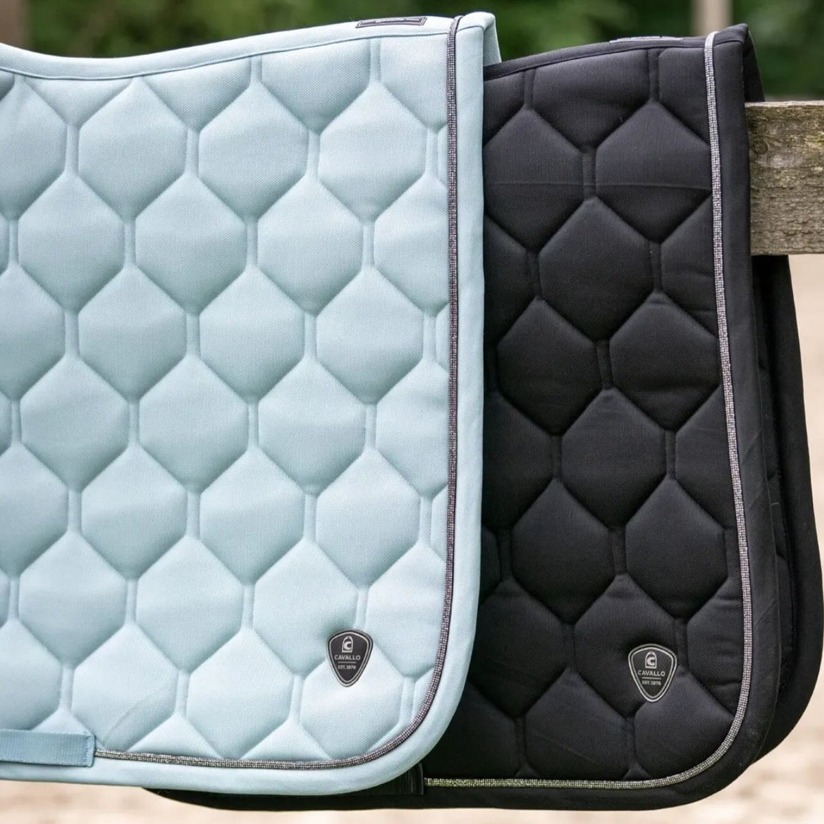 Cavallo Springschabracke CAVALPRUNE FS 2026 Sattelunterlage, Soft Aqua, mehrere Farbvarianten.