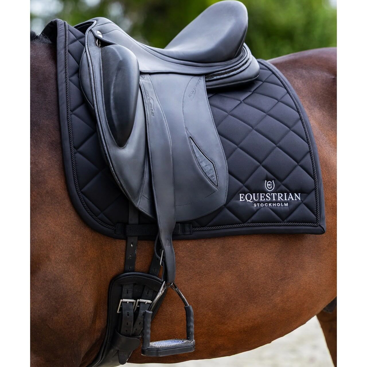 Dressurschabracke Line Black Schabracke