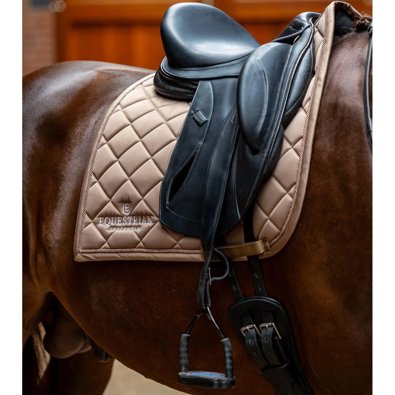 Dressurschabracke Line Champagne Schabracke