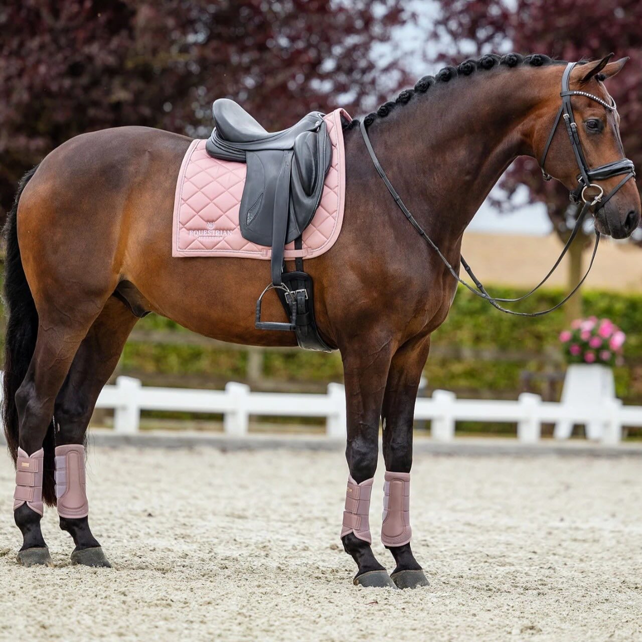 Dressurschabracke Line Pink Schabracke