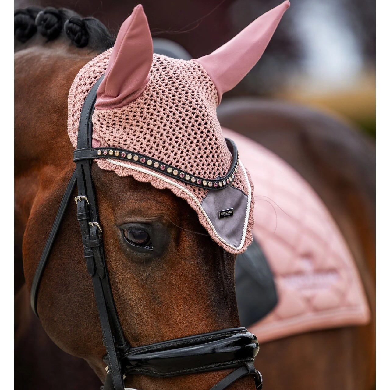 Dressurschabracke Line Pink Schabracke